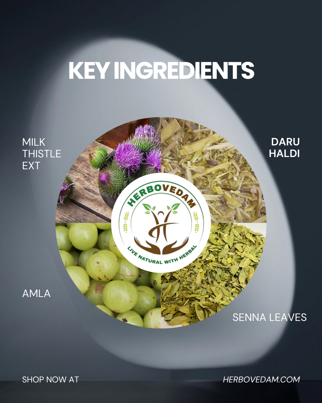 LIVER SANJEEVANI KIT