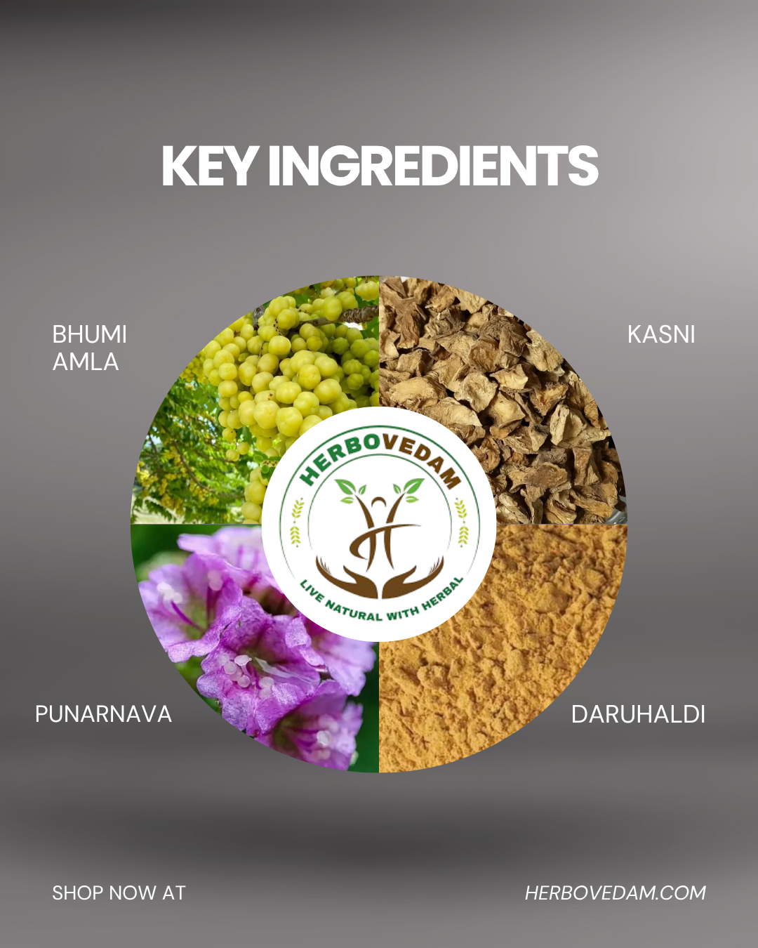 Herbovedam Liver Powder