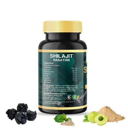 Shilajit Rasayan- The Black Gold