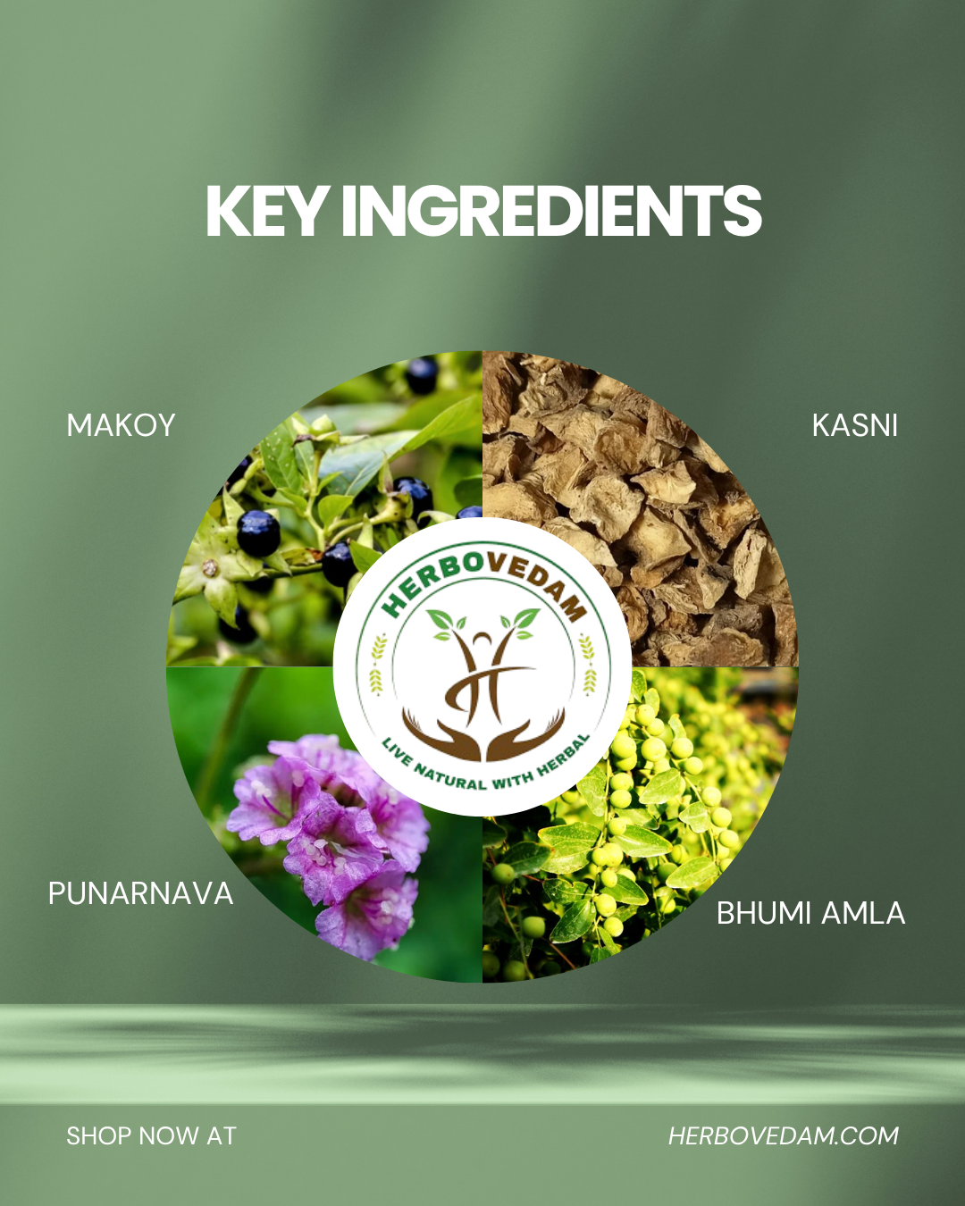 Liver Detox Kit – Supports Liver & Detoxification