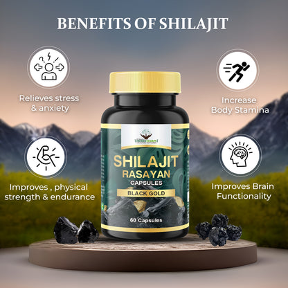 Shilajit Rasayan- The Black Gold