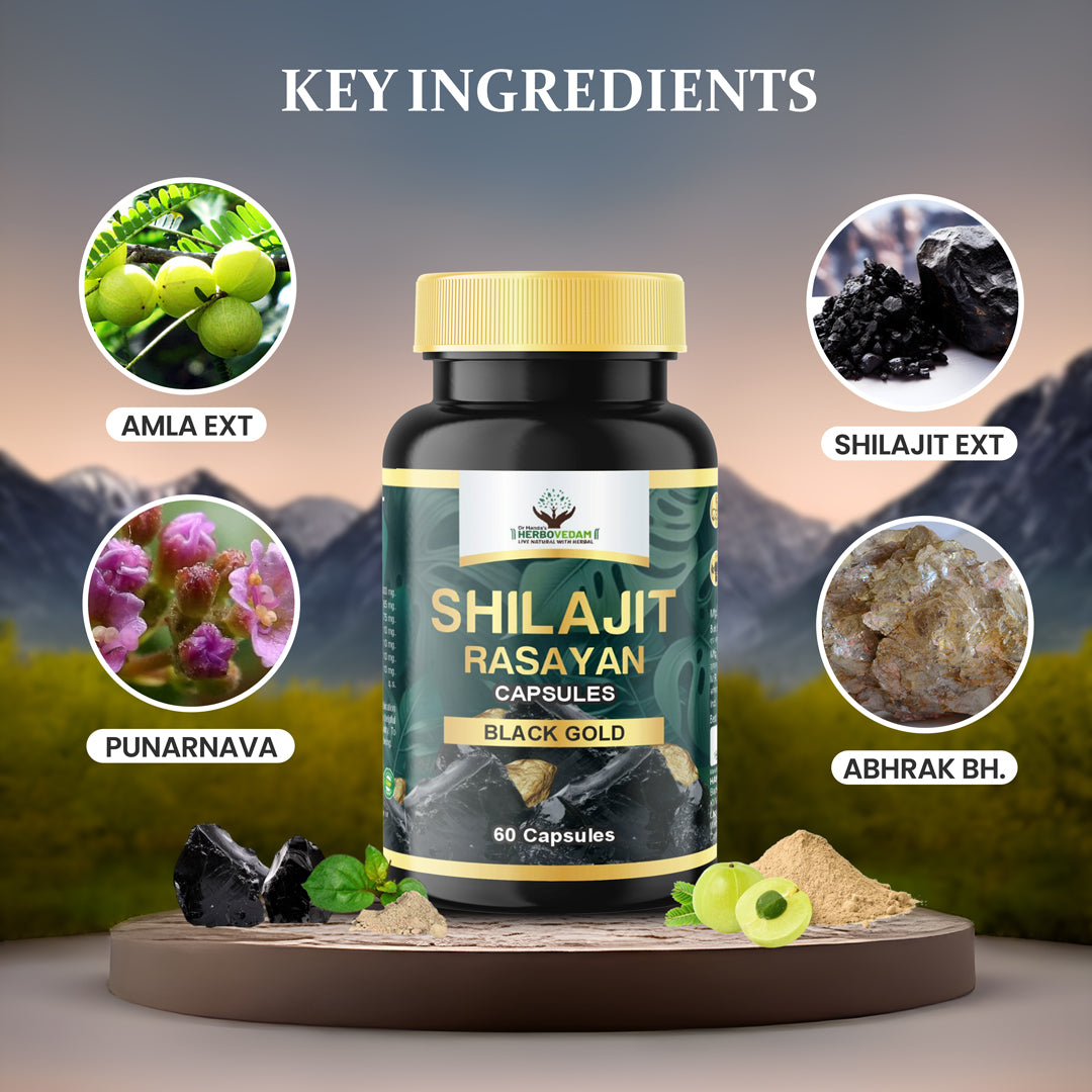 Shilajit Rasayan- The Black Gold